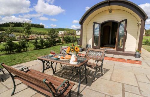 Rhayader House | Meadow View