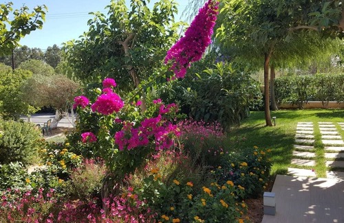 Gialos House | Mear Luxury Suite - The Ultimate Summer Nest