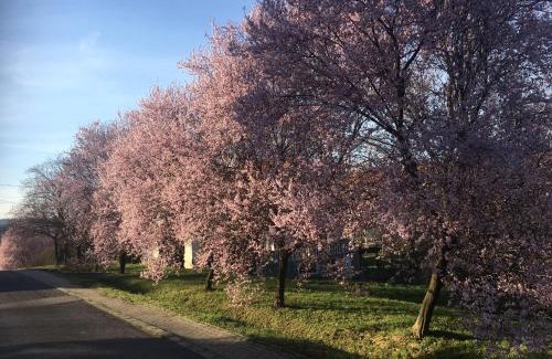 Magyarhertelend Villa | Mecseki Farkaslak