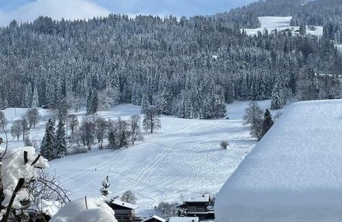 Demi-Quartier Ski Chalet | Megève - Chalet Miage