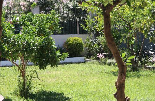 Durres House | Megan's Villa
