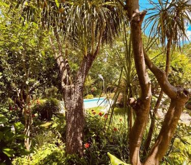 San Felice a Cancello Apartment | Melly's home