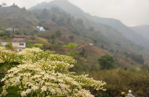 Kodaikanal House | Memmsta Hotels - 2516