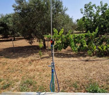 Kolaitis House | MemRo Village House
