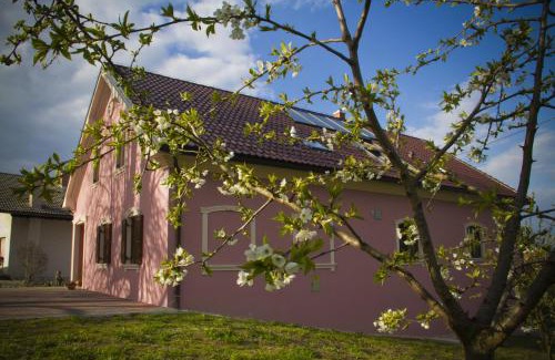 Bizeljsko House | Merkež Guest House