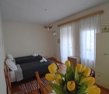 Mesi Apartment | Mesorizi - Ancestral Home, Modern Stay