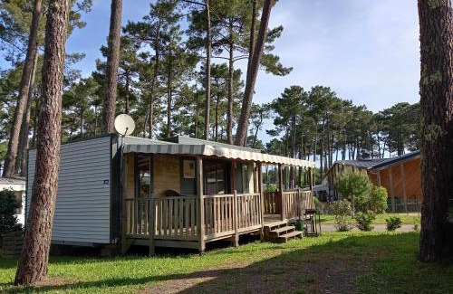 Saint-Julien-en-Born House | MH 462 Les dunes de Contis 2 chambres et 2 salles de bains dans camping 4 étoiles
