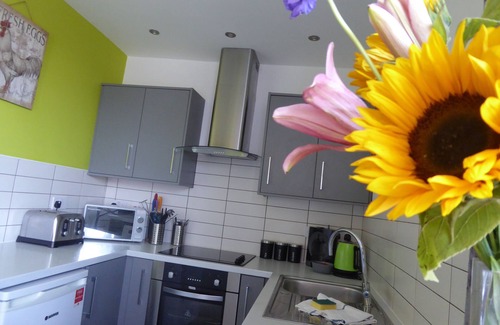 Chester Apartment | Mia's Place Apartments (4 apartments)