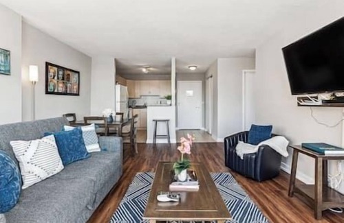 South Loop Condo | MICH AVE #5|Safe DTown Grant Park, Museums 2bd/2ba