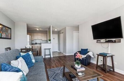 South Loop Condo | MICH AVE #5|Safe DTown Grant Park, Museums 2bd/2ba