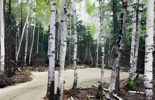 Baie-St-Paul Ski Chalet | Microcabin dens in the Charlevoix forest
