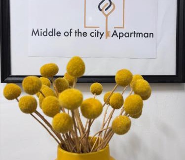 Pecs Apartment | Middle of the city apartmann