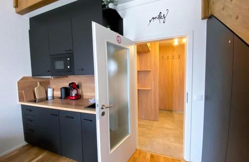 Loucna Pod Klinovcem Apartment | Miky Apartmán Klínovec view
