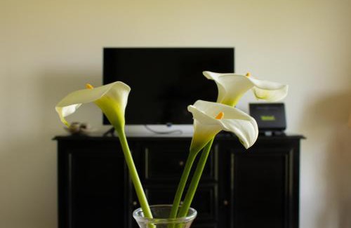 Kikinda Apartment | Mileva apartman