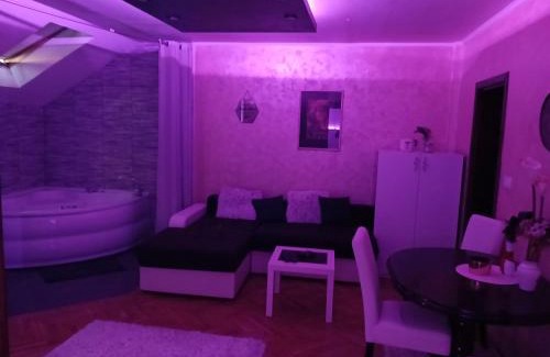 Bistrica Apartment | MilicaNS2