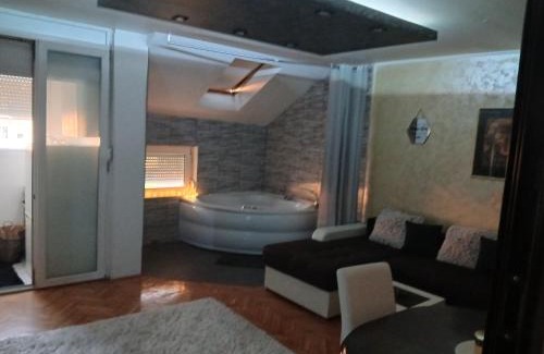 Bistrica Apartment | MilicaNS2