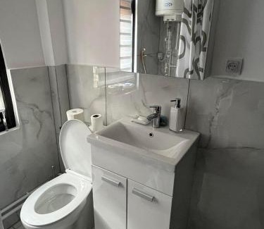 Stara Planina Apartment | Miljaca
