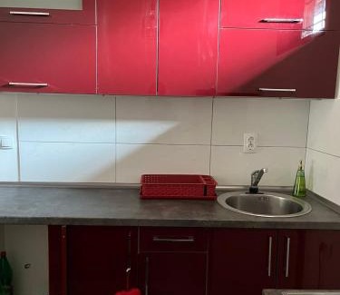 Stara Planina Apartment | Miljaca