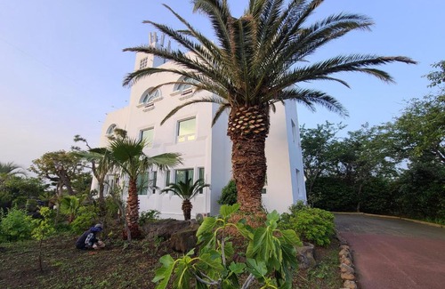 Aewol Hotel | Millenium Hotel
