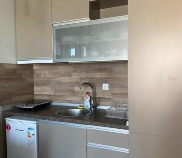 Lisina Apartment | Milmari Premier 28 Kopaonik