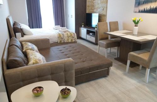 Kopaonik Apartment | Milmari resort Sara P61