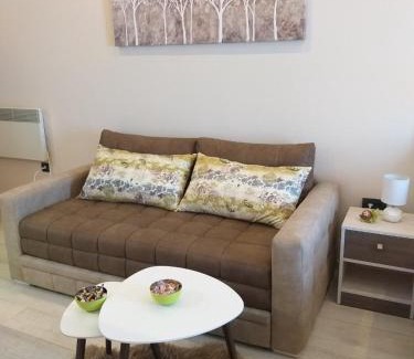 Kopaonik Apartment | Milmari resort Sara P61
