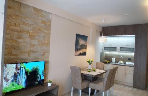 Kopaonik Apartment | Milmari resort Sara P61