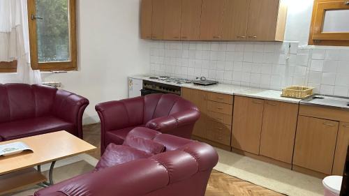 Kursumlija Apartment | Milovanović