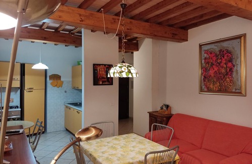 Pietrasanta Apartment | Mimosa Apartment - Old Town of Pietrasanta