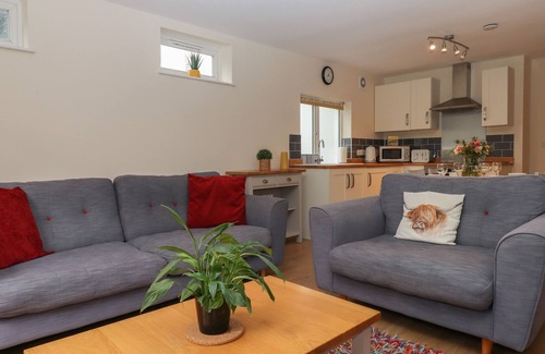 Dawlish Cottage | Mimosa
