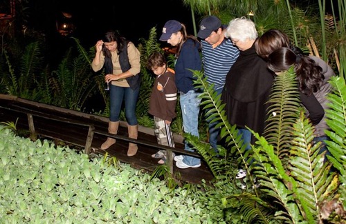 Mindo Hotel | Mindo Lago