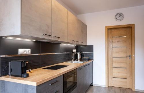 Jachymov Apartment | Miner's Lodge