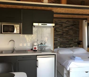 Saint-Jean-Saint-Nicolas Ski Chalet | Mini Chalet Ananda