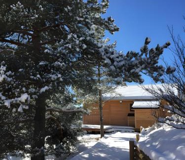 Saint-Jean-Saint-Nicolas Ski Chalet | Mini Chalet Samsara