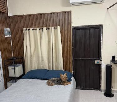 Jiutepec Apartment | Mini Departmento