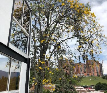 Envigado Apartment | Mini Loft in Envigado