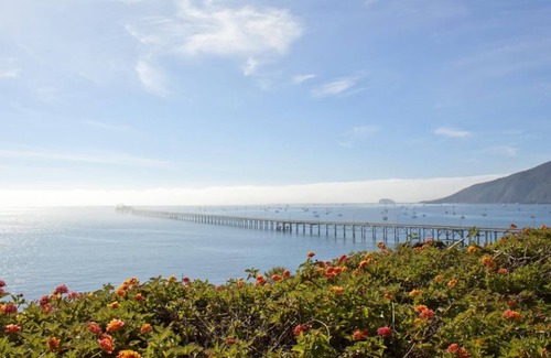 Avila Beach Resort | Minutes from Avila Beach! 2 Spacious Units Pool, Bbq Facilities, Free Parking!