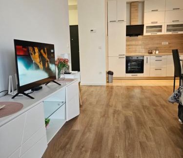 Mladenovac Apartment | MiS Lux
