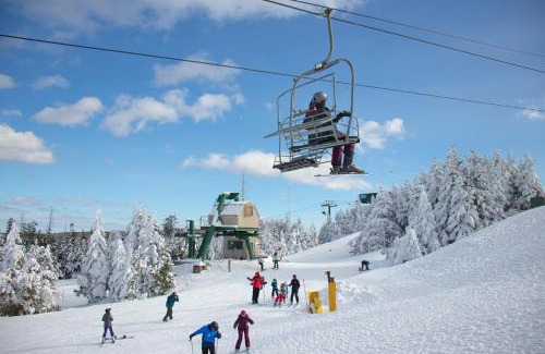 Snowshoe Apartment | ML315 Budget Friendly Next To Slopes No Frills AFFORDABLE