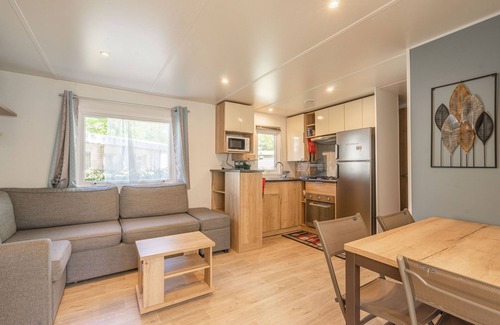 Ronce-les-Bains RV Rental | Mobile Home 'Mh 169 Ronce Les Bains' with Shared Pool, Terrace and Air Conditioning