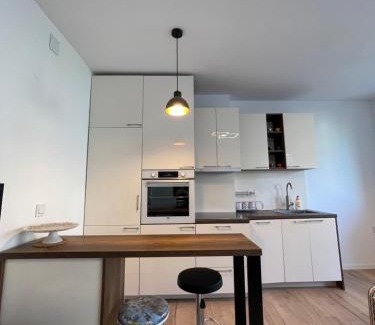 Matiçan Apartment | Modern Apartment in the Center of the City