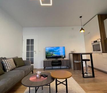 Matiçan Apartment | Modern Apartment in the Center of the City