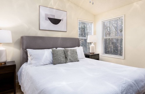 Winston - Salem Apartment | Modern Apartment in Prime Location (ID8399X27)