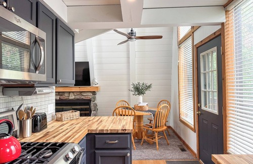 Harbor Springs Ski Chalet | Modern Chalet Retreat in Harbor Springs w/Fireplace