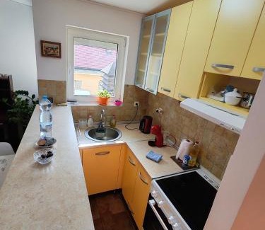 Stari Grad Apartment | Modern City Center Apartment - Rajiceva Loft
