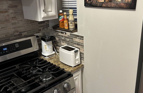 Woodlawn Condo | Modern Condo-Obama & University of Chicago Area