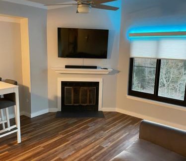 Snowshoe Apartment | Modern Condo with Ski In & Ski Out - Silver Creek Lodge, Snowshoe