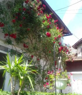 Sarajevo House | Modern&Cozy Bosnian house with GARDEN+FREE parking