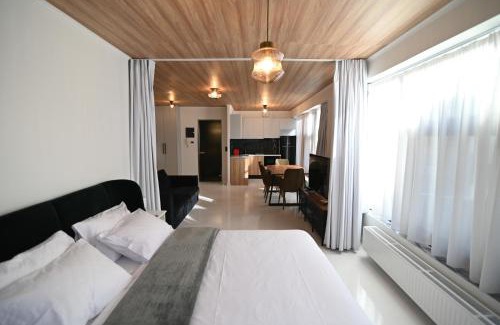 Larissa Apartment | Modern Downtown apartment + FREE parking
