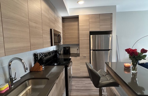 Northeast Apartment | Modern , luxurious, DC apartment with pool and gym